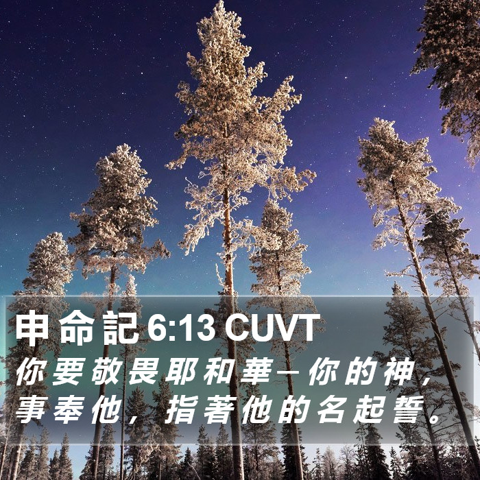 申 命 記 6:13 CUVT Bible Study