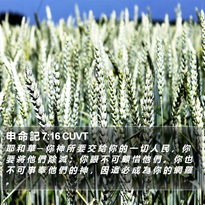 申 命 記 7:16 CUVT Bible Study