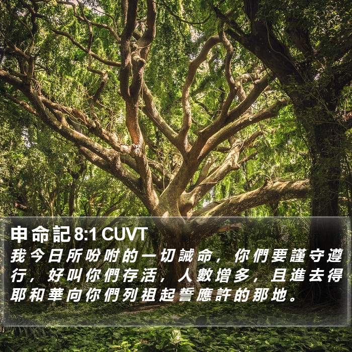 申 命 記 8:1 CUVT Bible Study