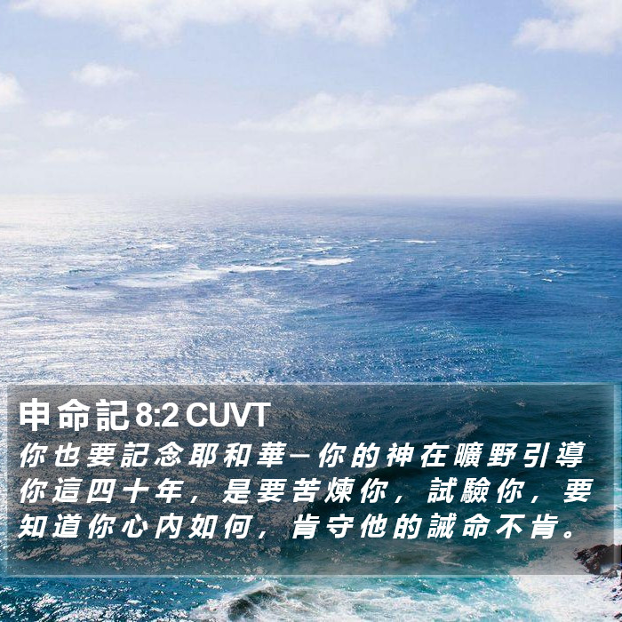 申 命 記 8:2 CUVT Bible Study