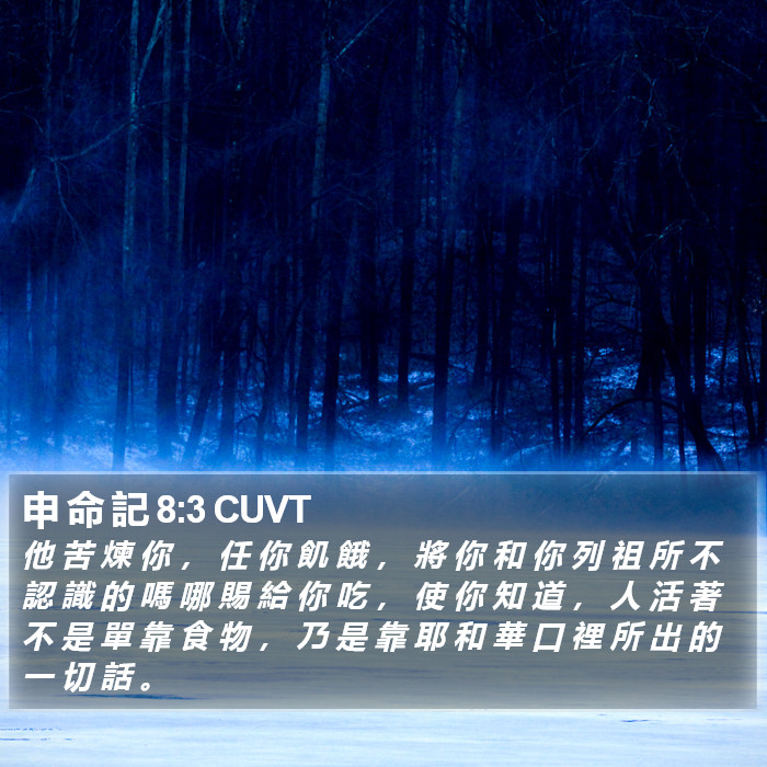 申 命 記 8:3 CUVT Bible Study