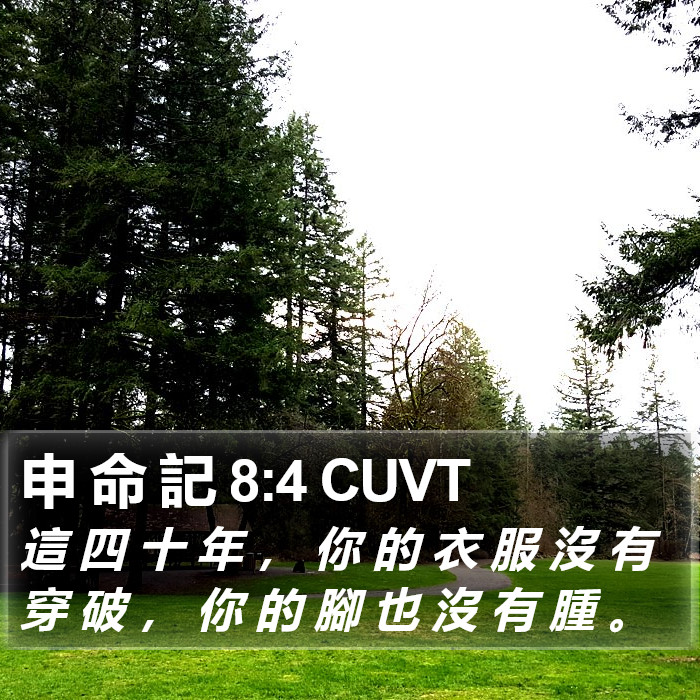 申 命 記 8:4 CUVT Bible Study