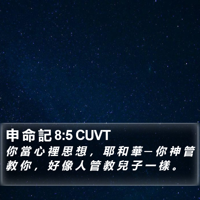 申 命 記 8:5 CUVT Bible Study