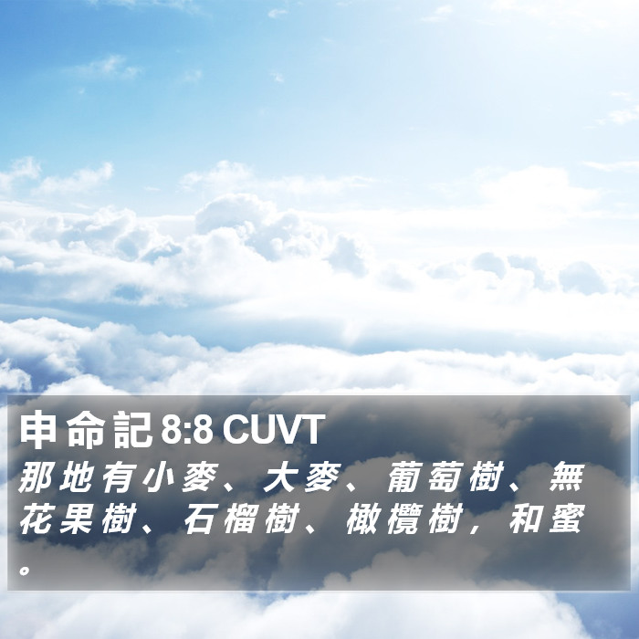 申 命 記 8:8 CUVT Bible Study