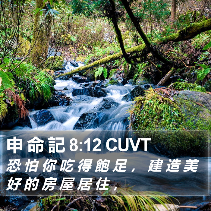 申 命 記 8:12 CUVT Bible Study