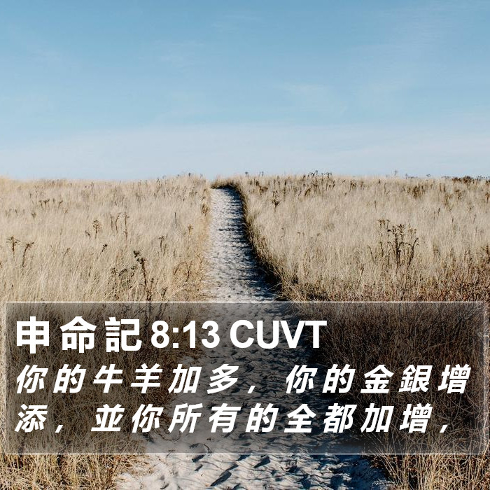 申 命 記 8:13 CUVT Bible Study