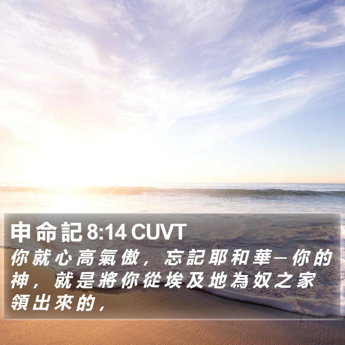 申 命 記 8:14 CUVT Bible Study