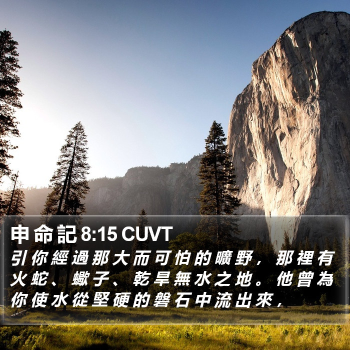 申 命 記 8:15 CUVT Bible Study