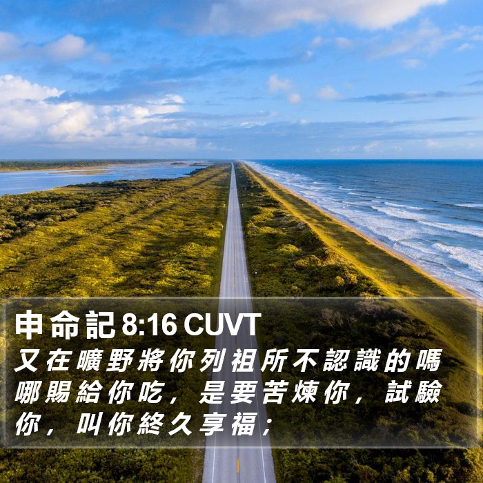 申 命 記 8:16 CUVT Bible Study