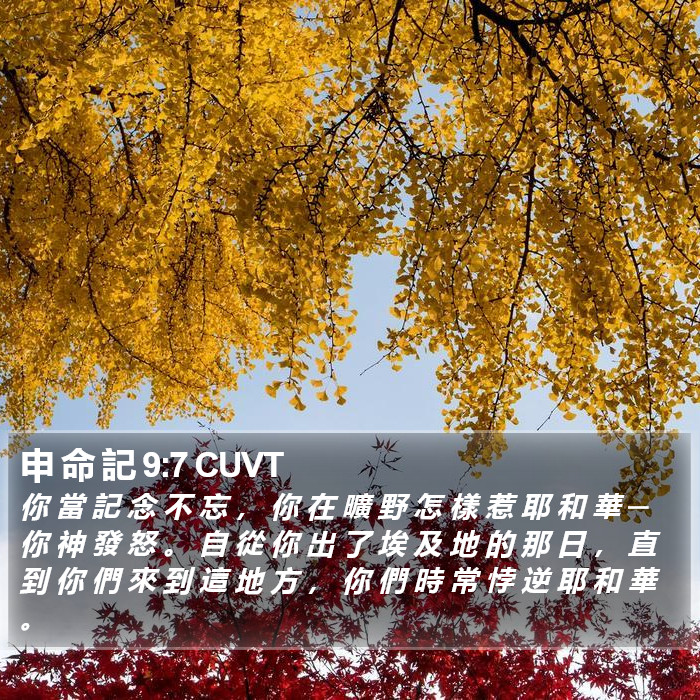 申 命 記 9:7 CUVT Bible Study