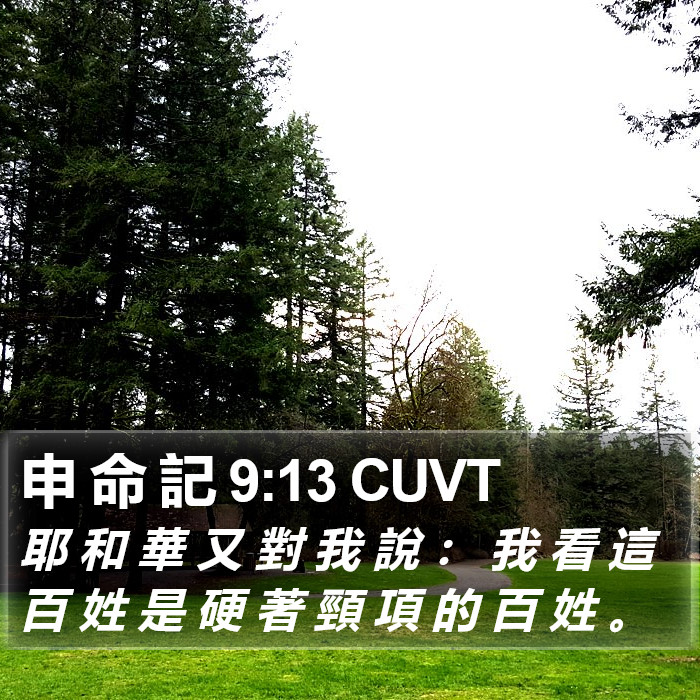 申 命 記 9:13 CUVT Bible Study