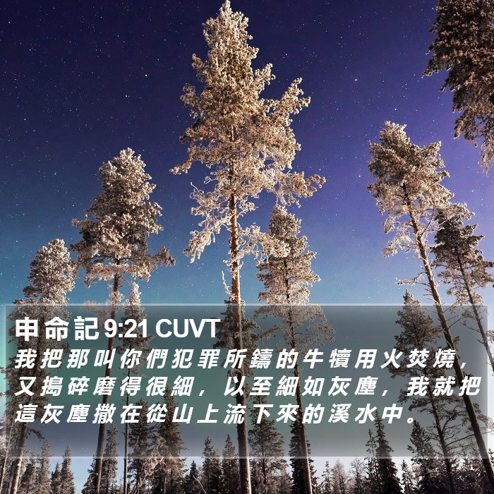申 命 記 9:21 CUVT Bible Study