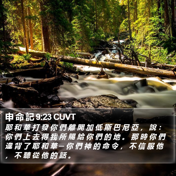 申 命 記 9:23 CUVT Bible Study