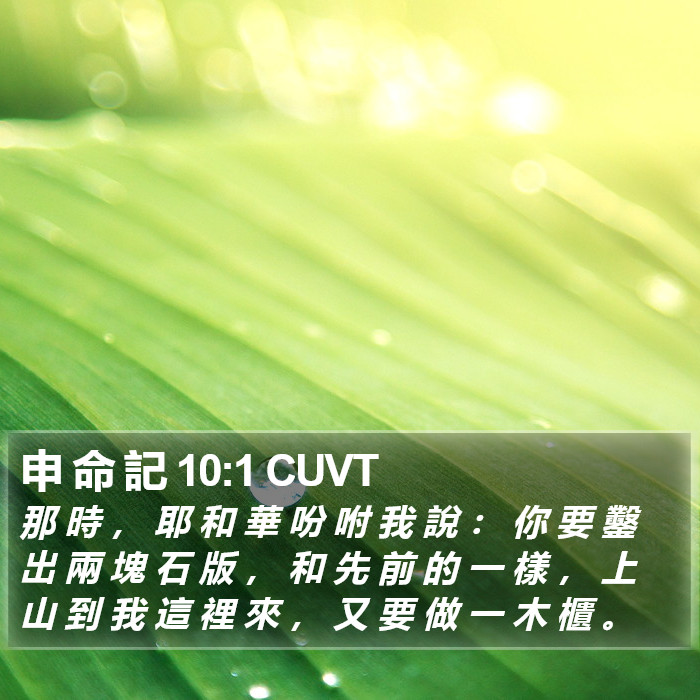 申 命 記 10:1 CUVT Bible Study