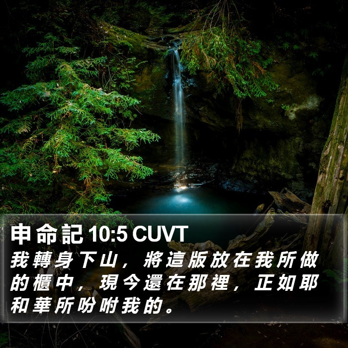 申 命 記 10:5 CUVT Bible Study