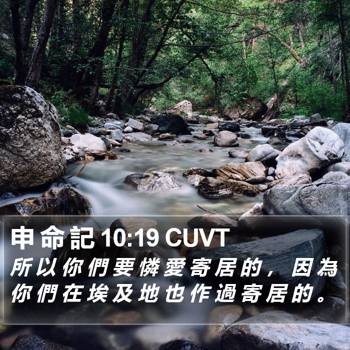 申 命 記 10:19 CUVT Bible Study