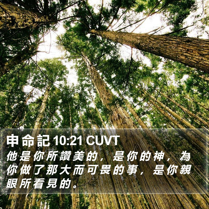 申 命 記 10:21 CUVT Bible Study