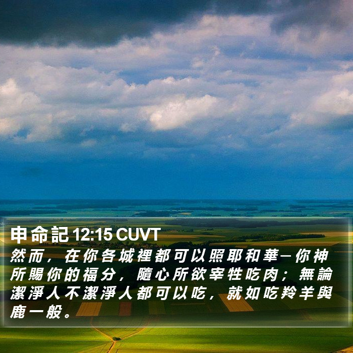 申 命 記 12:15 CUVT Bible Study