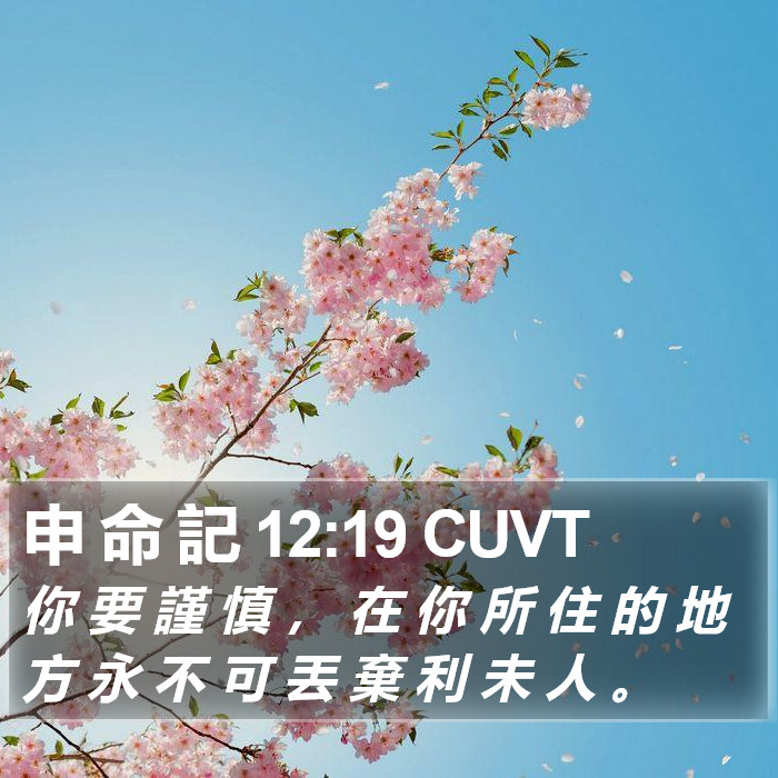 申 命 記 12:19 CUVT Bible Study