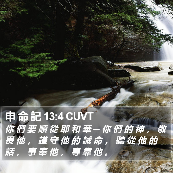 申 命 記 13:4 CUVT Bible Study