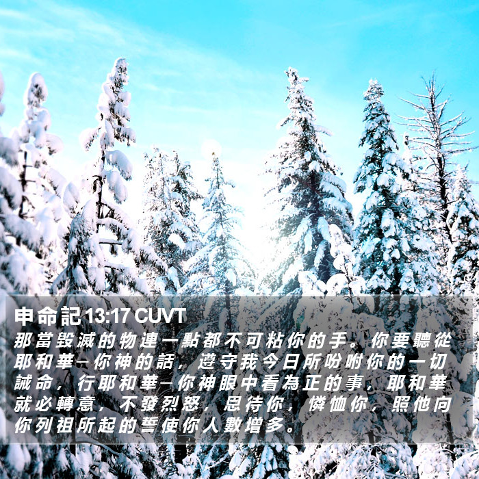 申 命 記 13:17 CUVT Bible Study