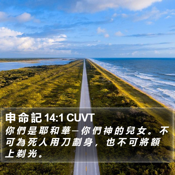 申 命 記 14:1 CUVT Bible Study