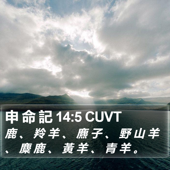 申 命 記 14:5 CUVT Bible Study