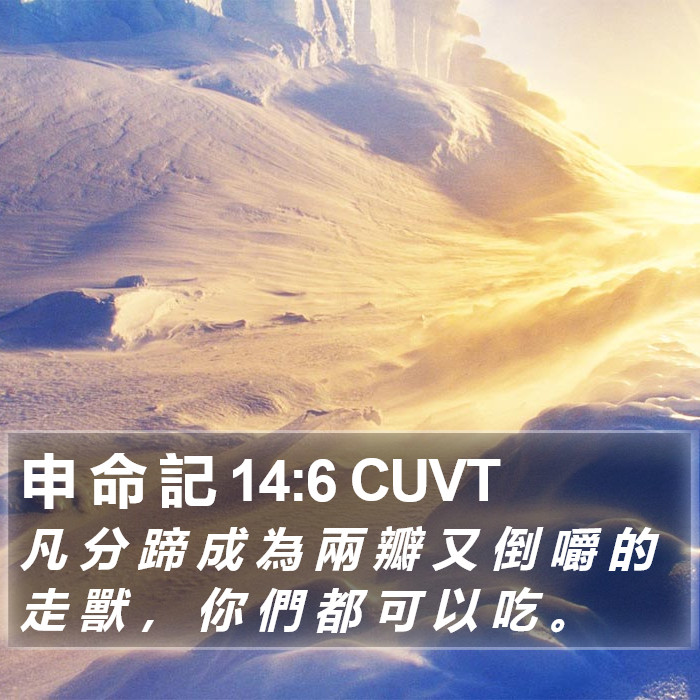 申 命 記 14:6 CUVT Bible Study