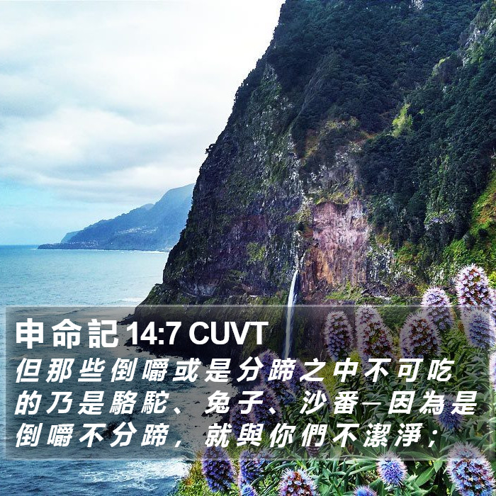 申 命 記 14:7 CUVT Bible Study