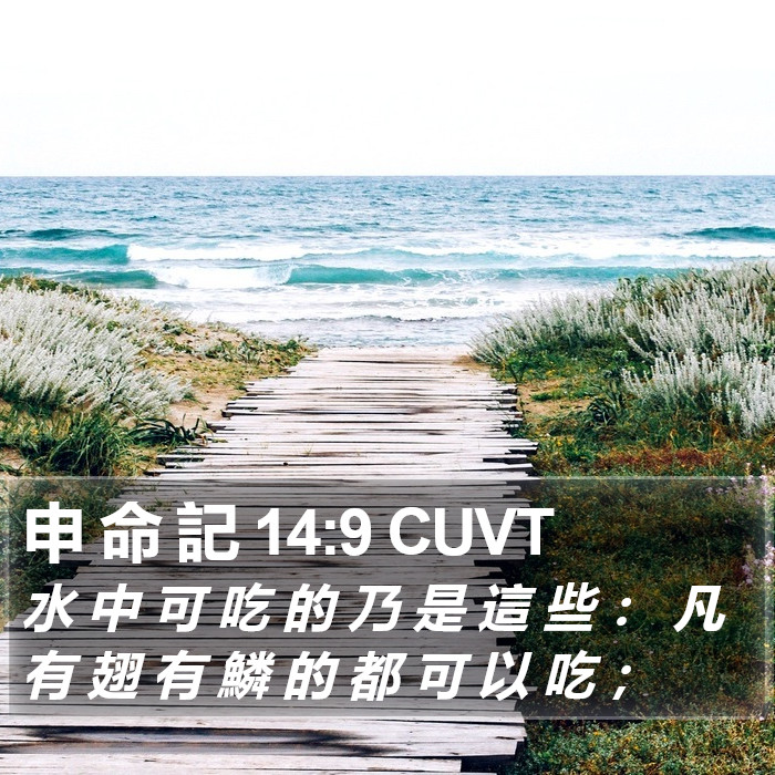 申 命 記 14:9 CUVT Bible Study