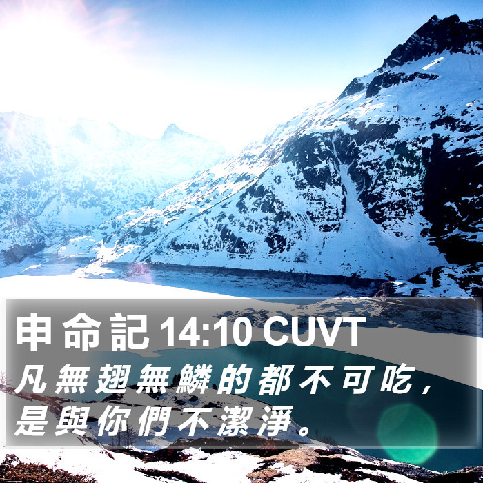 申 命 記 14:10 CUVT Bible Study