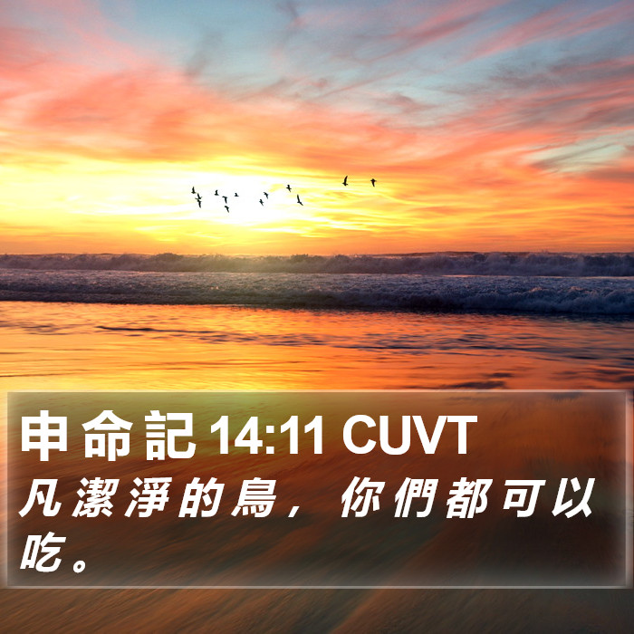 申 命 記 14:11 CUVT Bible Study