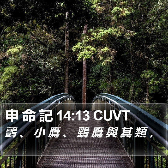 申 命 記 14:13 CUVT Bible Study