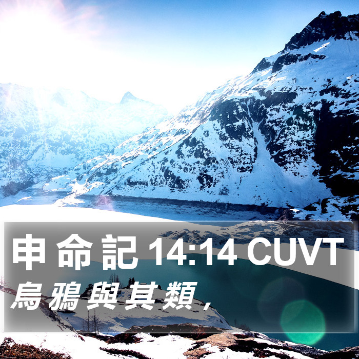 申 命 記 14:14 CUVT Bible Study