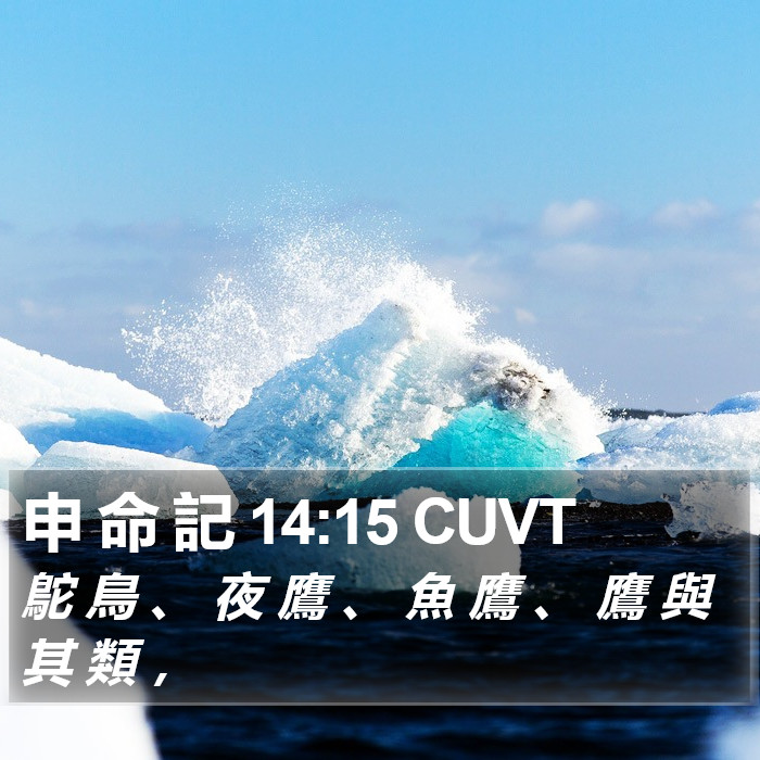 申 命 記 14:15 CUVT Bible Study