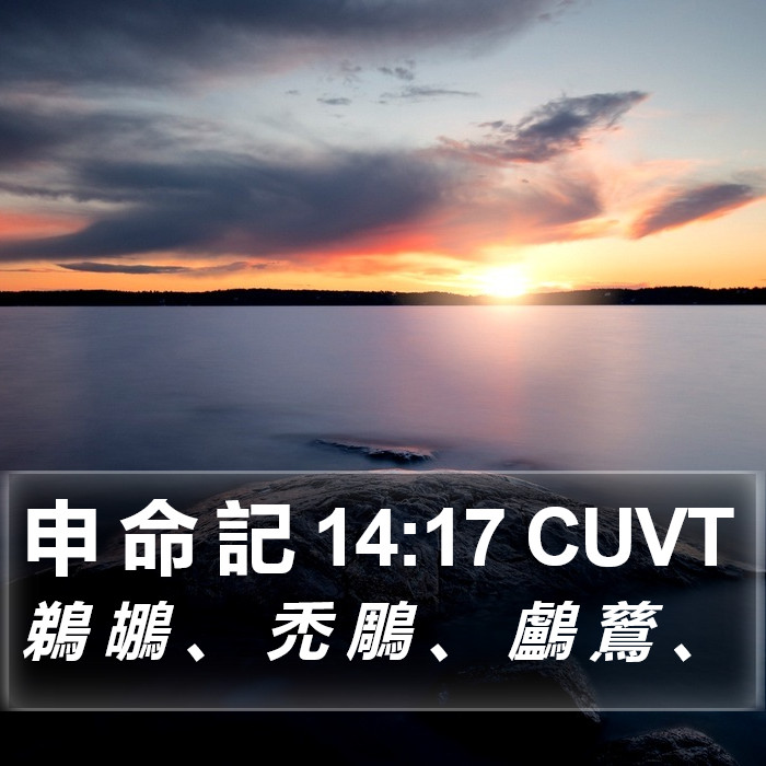 申 命 記 14:17 CUVT Bible Study