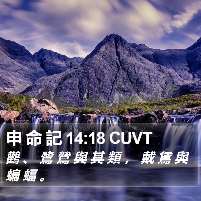 申 命 記 14:18 CUVT Bible Study