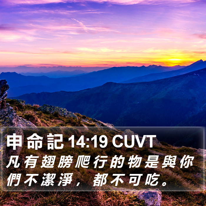 申 命 記 14:19 CUVT Bible Study
