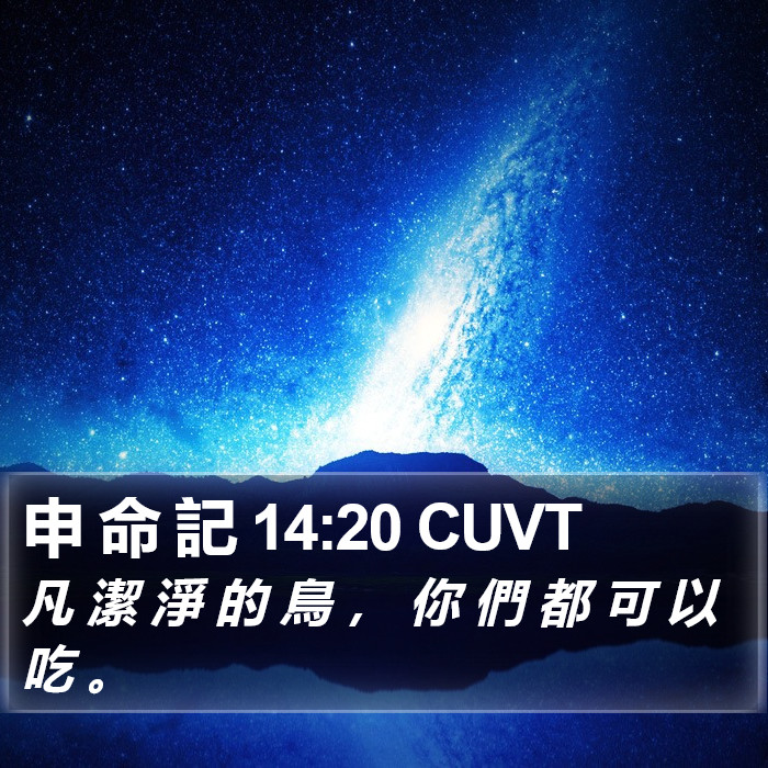 申 命 記 14:20 CUVT Bible Study