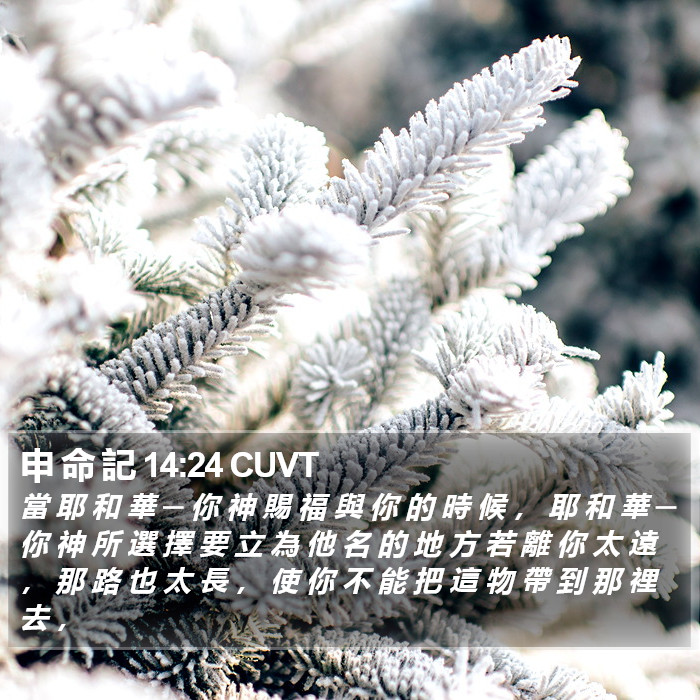 申 命 記 14:24 CUVT Bible Study