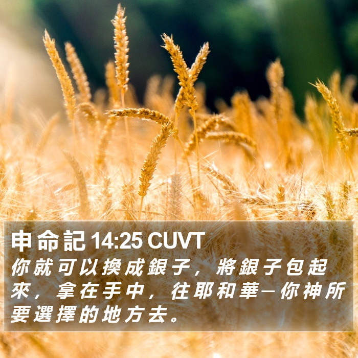 申 命 記 14:25 CUVT Bible Study