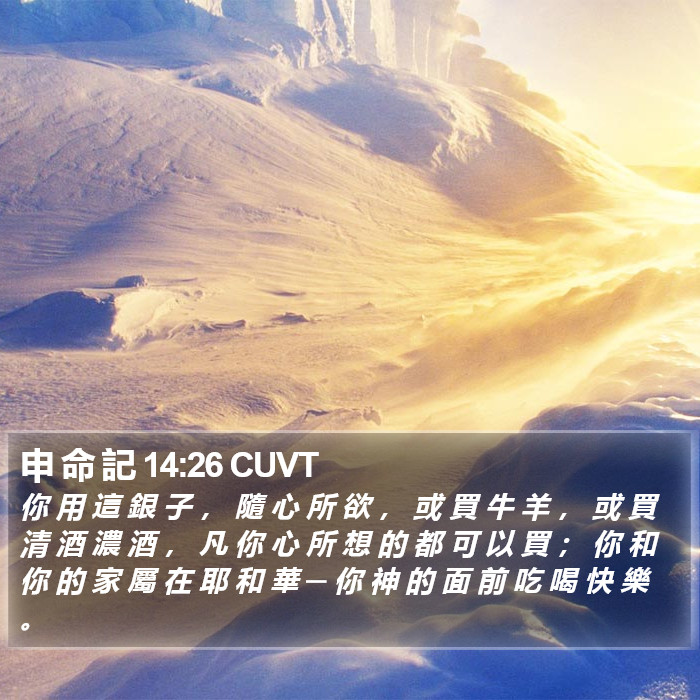申 命 記 14:26 CUVT Bible Study