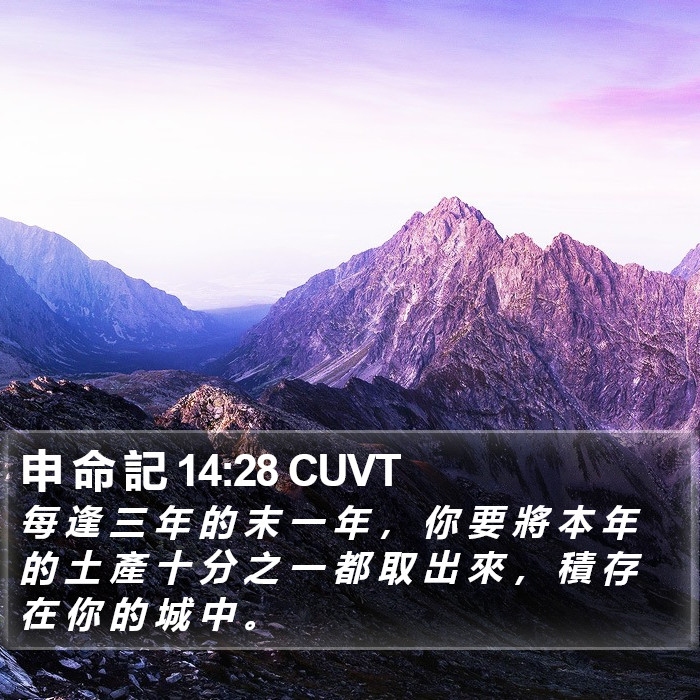 申 命 記 14:28 CUVT Bible Study