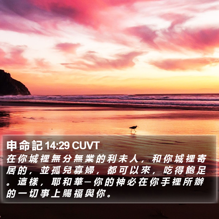 申 命 記 14:29 CUVT Bible Study