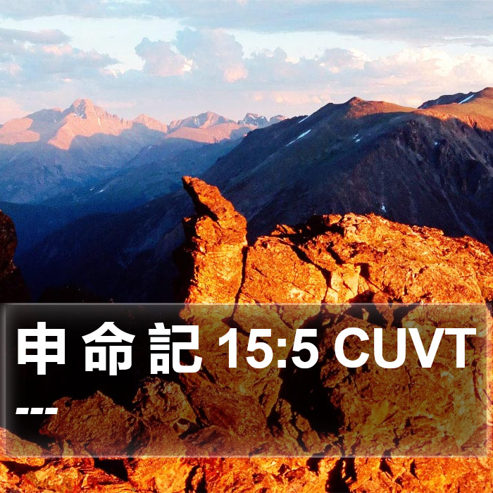 申 命 記 15:5 CUVT Bible Study