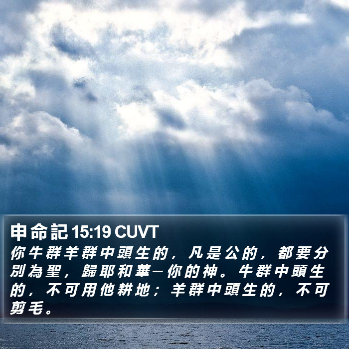 申 命 記 15:19 CUVT Bible Study