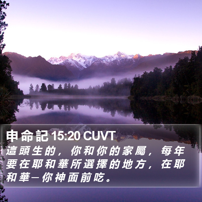 申 命 記 15:20 CUVT Bible Study