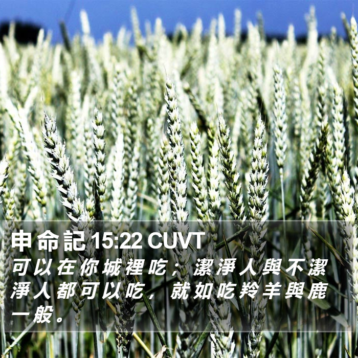 申 命 記 15:22 CUVT Bible Study