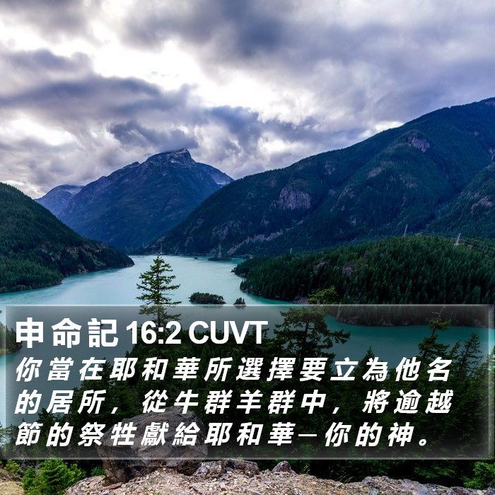 申 命 記 16:2 CUVT Bible Study