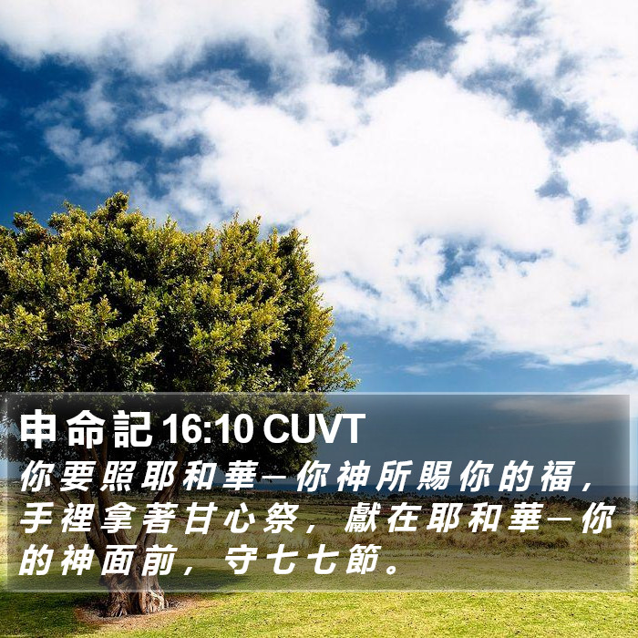 申 命 記 16:10 CUVT Bible Study